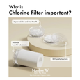Filter Replacement or Chlorine Beads